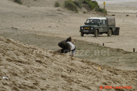 33 beach