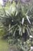 09 val_miranda_garden