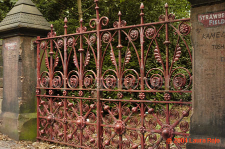 38 strawberry_fields