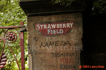 43 strawberry_fields