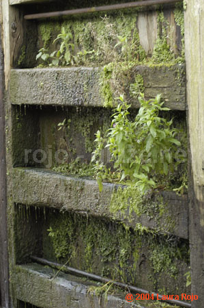 103 canal_doors