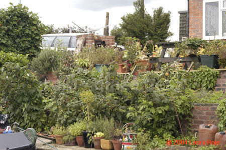 49 garden