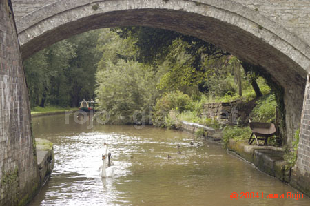 91 bridge