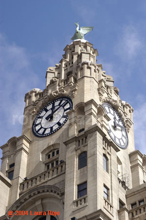 16 liver bldg