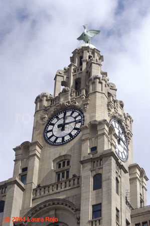 18 liver bldg