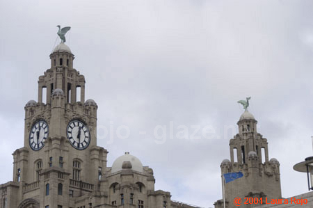 36 liver bldg