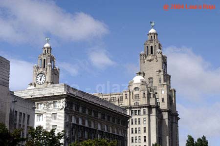 8 liver bldg