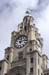 18 liver bldg