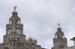 36 liver bldg