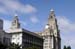 8 liver bldg