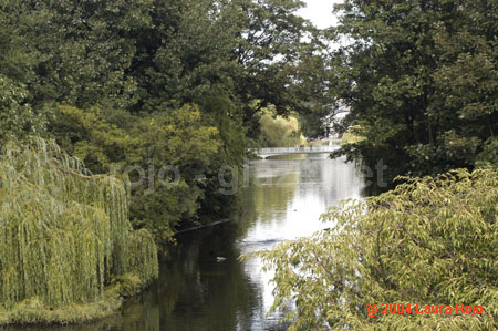 62 gardens