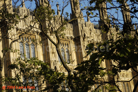 107 parliament
