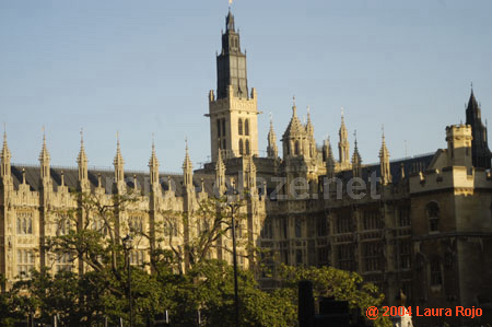 114 parliament