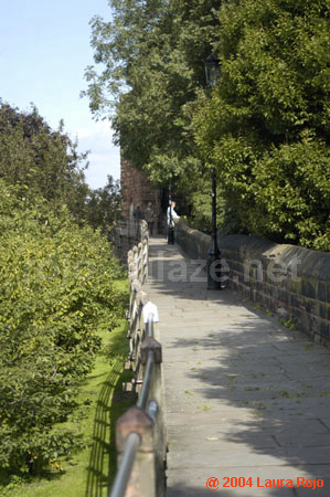 07 walk